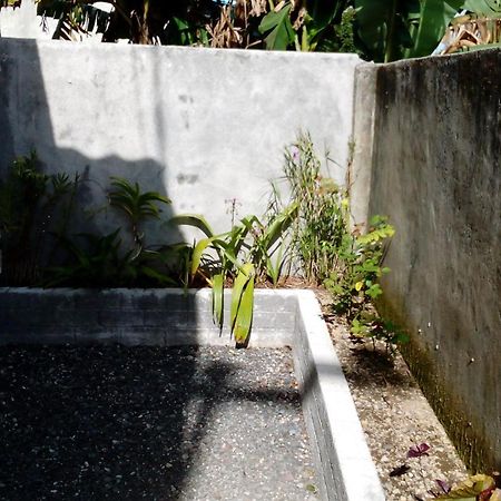 Radiya Guesthouse Sembalunlawang Oda fotoğraf
